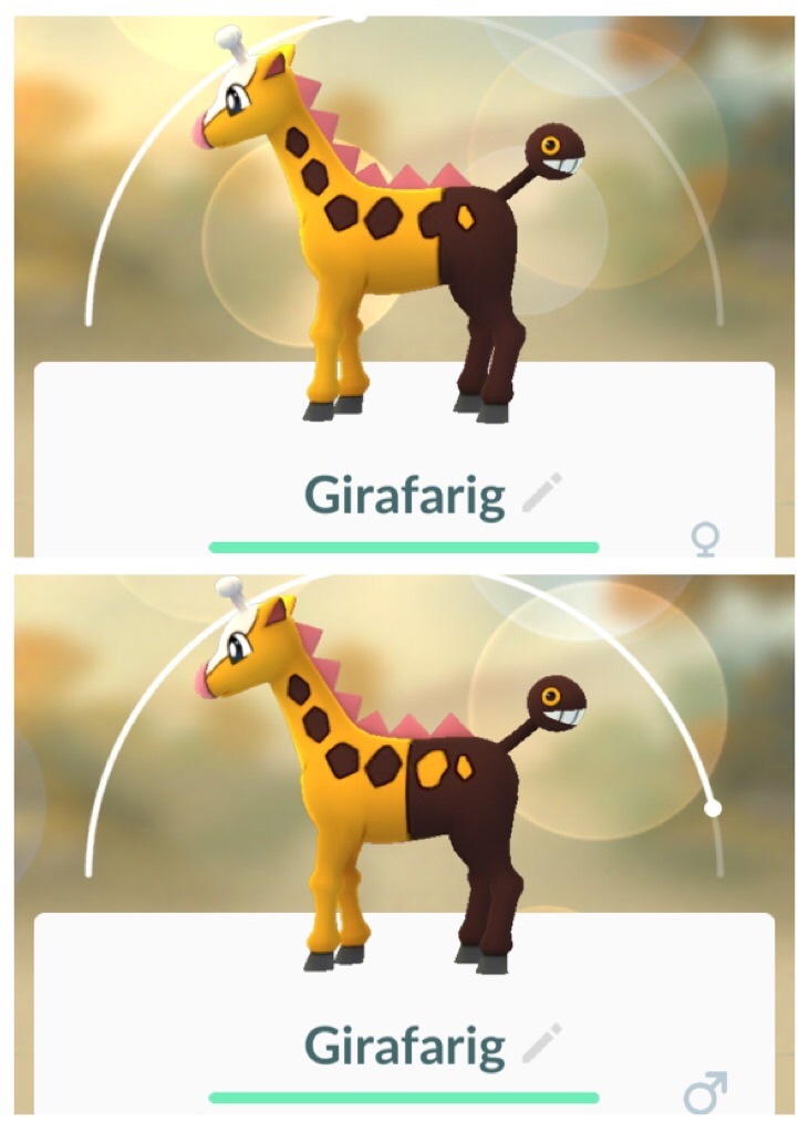 girafarig-male-female-differences
